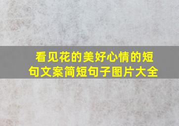 看见花的美好心情的短句文案简短句子图片大全