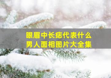 眼眉中长痣代表什么男人面相图片大全集