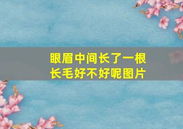 眼眉中间长了一根长毛好不好呢图片