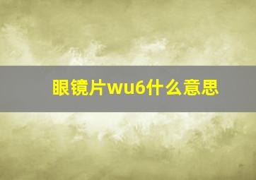 眼镜片wu6什么意思