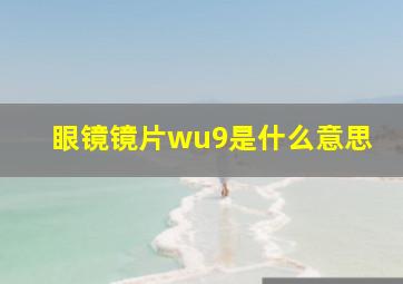 眼镜镜片wu9是什么意思