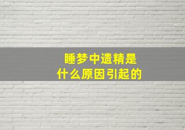 睡梦中遗精是什么原因引起的