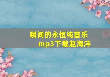 瞬间的永恒纯音乐mp3下载赵海洋