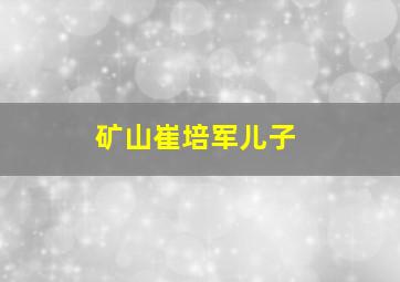 矿山崔培军儿子