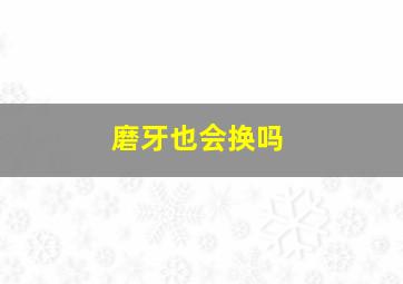 磨牙也会换吗