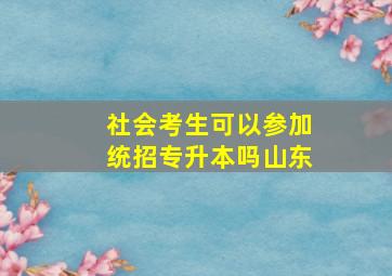 社会考生可以参加统招专升本吗山东