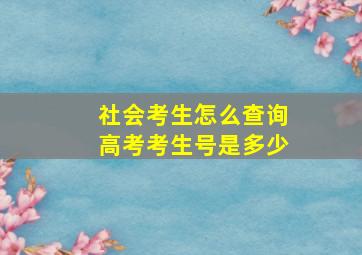 社会考生怎么查询高考考生号是多少