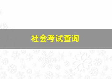 社会考试查询