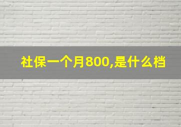 社保一个月800,是什么档