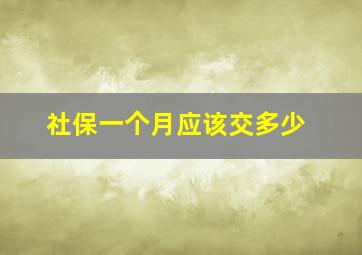 社保一个月应该交多少