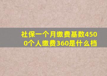 社保一个月缴费基数4500个人缴费360是什么档