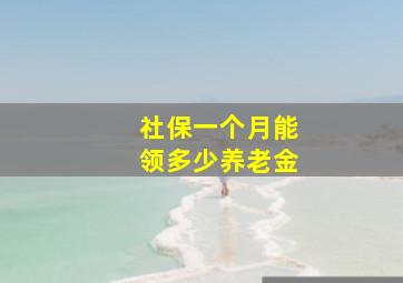 社保一个月能领多少养老金