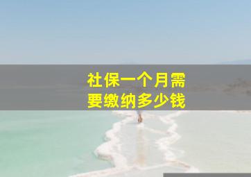 社保一个月需要缴纳多少钱