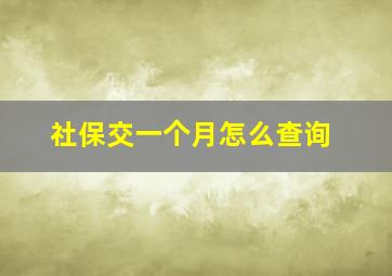 社保交一个月怎么查询