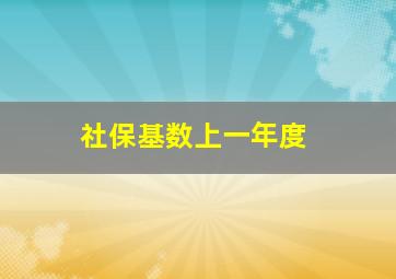 社保基数上一年度