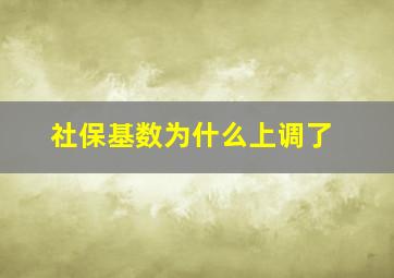 社保基数为什么上调了