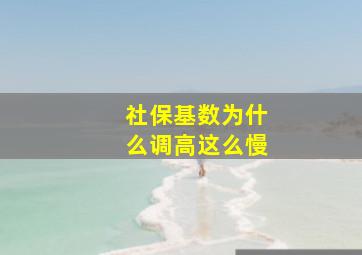 社保基数为什么调高这么慢