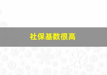 社保基数很高