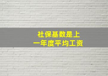 社保基数是上一年度平均工资