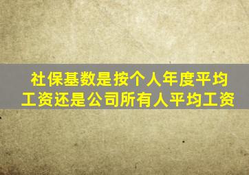 社保基数是按个人年度平均工资还是公司所有人平均工资