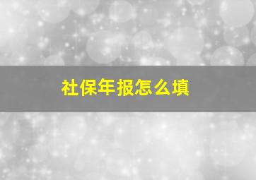 社保年报怎么填