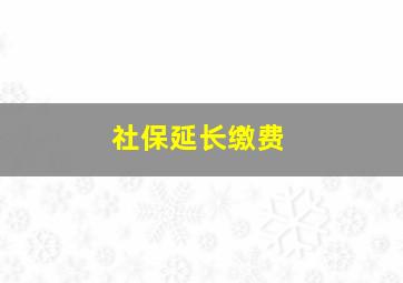 社保延长缴费