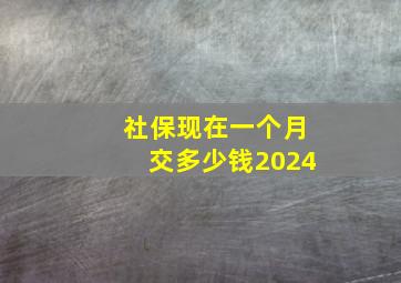 社保现在一个月交多少钱2024