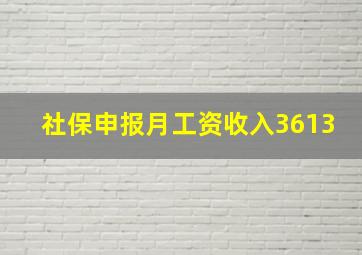 社保申报月工资收入3613