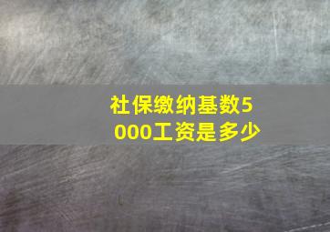 社保缴纳基数5000工资是多少