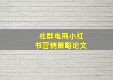 社群电商小红书营销策略论文