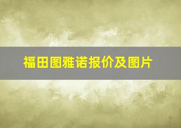 福田图雅诺报价及图片