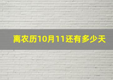 离农历10月11还有多少天