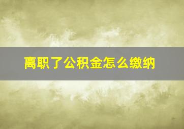 离职了公积金怎么缴纳