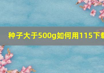 种子大于500g如何用115下载