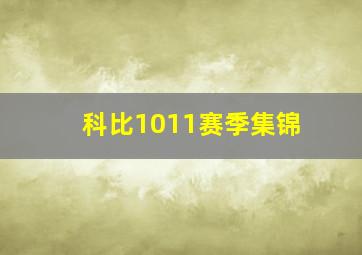 科比1011赛季集锦