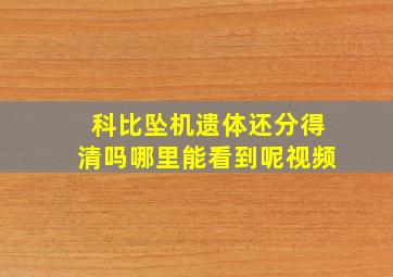 科比坠机遗体还分得清吗哪里能看到呢视频