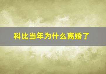 科比当年为什么离婚了