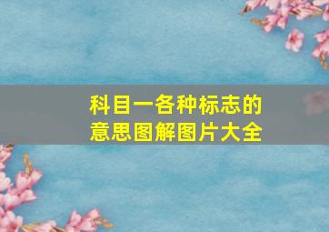 科目一各种标志的意思图解图片大全