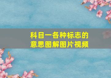 科目一各种标志的意思图解图片视频