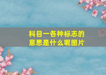 科目一各种标志的意思是什么呢图片