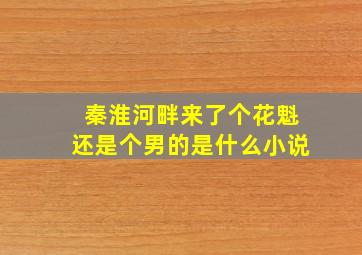 秦淮河畔来了个花魁还是个男的是什么小说