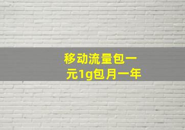 移动流量包一元1g包月一年