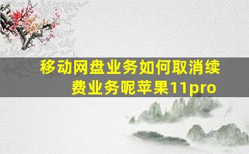 移动网盘业务如何取消续费业务呢苹果11pro