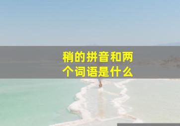 稍的拼音和两个词语是什么