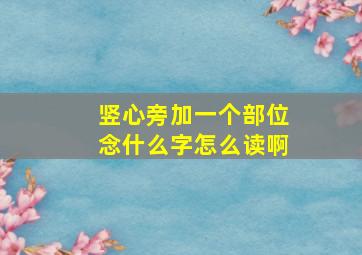 竖心旁加一个部位念什么字怎么读啊