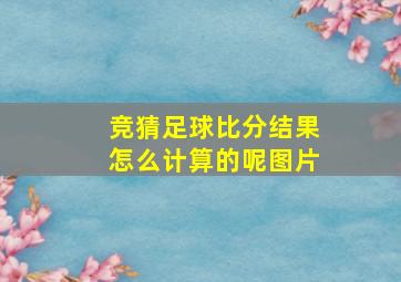 竞猜足球比分结果怎么计算的呢图片