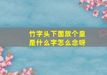 竹字头下面放个皇是什么字怎么念呀