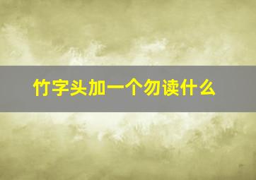 竹字头加一个勿读什么