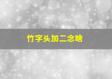 竹字头加二念啥