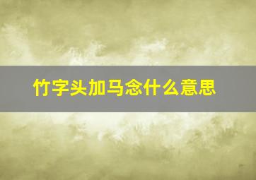 竹字头加马念什么意思